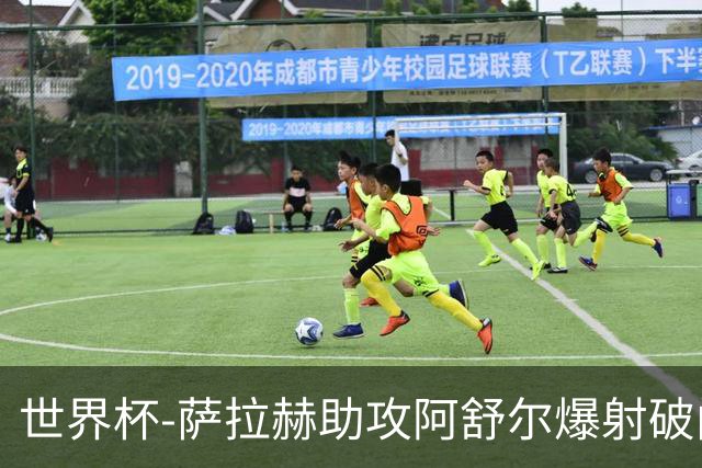 世界杯-萨拉赫助攻阿舒尔爆射破门 埃及半场1-0比利时